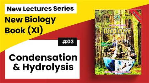 Biology Of Condensation Hydrolysis Youtube