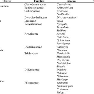 Diversity of myxomycetes in Türkiye. | Download Scientific Diagram