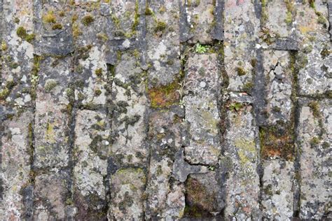 Mossy Cobblestone Texture - Free Stock Photo by ValérianTextureInComing ...