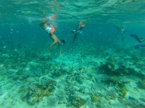 Pearl Island Snorkeling Excursion at Nassau Bahamas - Travels and Whims