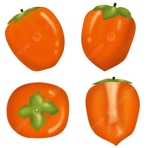 Korean Sliced Persimmon Fruit Illustration Korean Persimmon Fruit