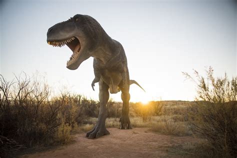 Attractions Moab Giants