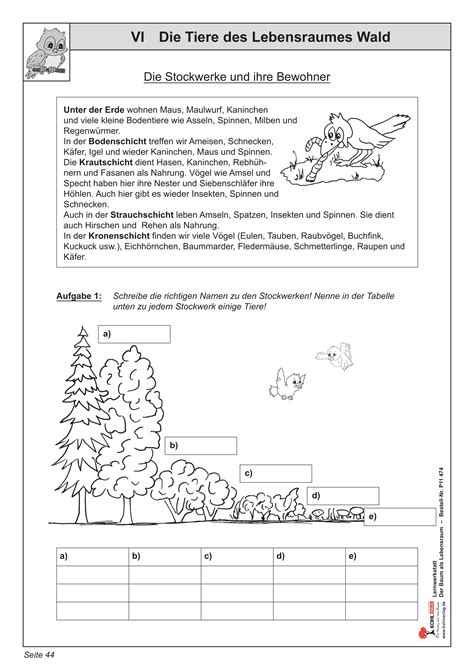 Der Wald Grundschule Artofit