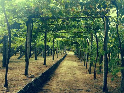 Cambados, Spain 2023: Best Places to Visit - Tripadvisor