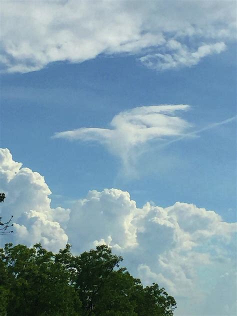 Angel Cloud Appears Photograph by Matthew Seufer - Pixels