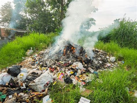 cpce environmental awareness photo gallery