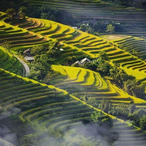 Explore Hoang Su Phi Rice Terraces Of Phung Village Ha Giang, Vietnam ...