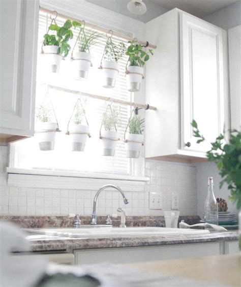 Vertical Herb Garden Kitchen