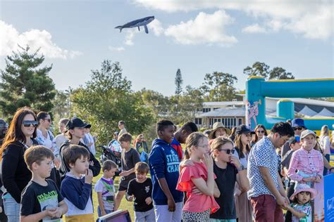 Gallery Hervey Bay Whale Festival