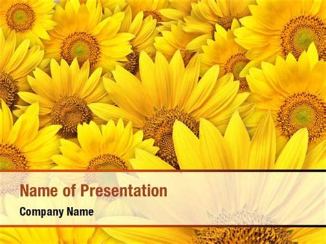 Sunflower Powerpoint Template 50 Koleksi Gambar