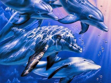 Dolphin Art Wallpaper download - Dolphin HD Wallpaper - Appraw