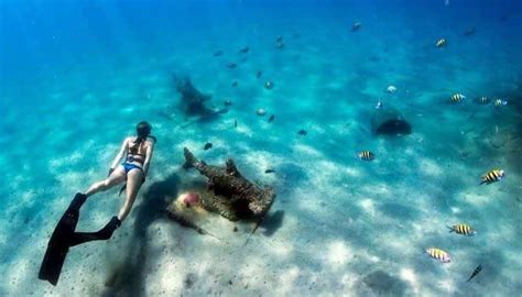 Best Snorkeling In Florida Where To Explore From The Shore Florida