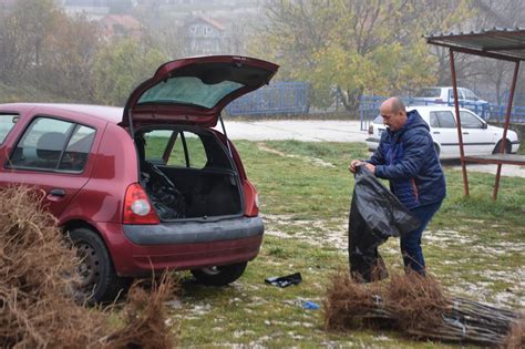 Eko Plod Prozor Rama Podijelio Oko Sadnica Ljive Radio Rama