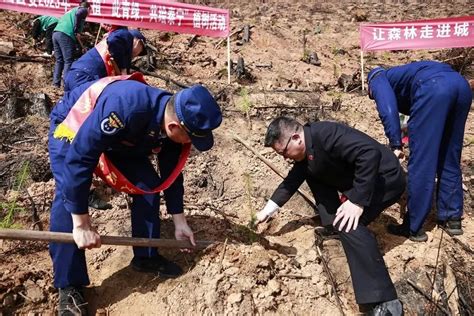 植树节 泰宁县检察院开展义务植树活动澎湃号·政务澎湃新闻 The Paper