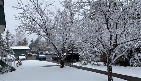 Calgary could get hit with more April snow next week