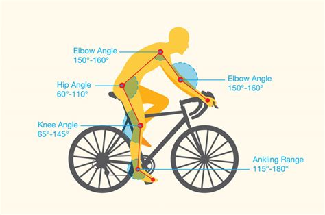 Lower Back Pain From Cycling Causes Treatment And Prevention Tips