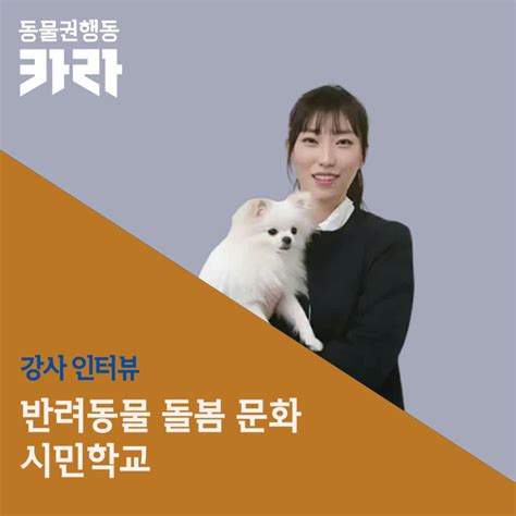 교육 반려동물 돌봄 문화 시민학교 강사 인터뷰 2 반려견의 생태적 특징 이해 네이버 블로그