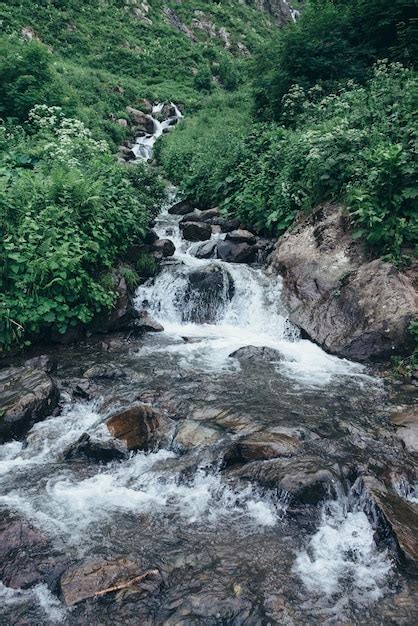 Premium Photo Mountain Stream In The Forest Natural Landscape