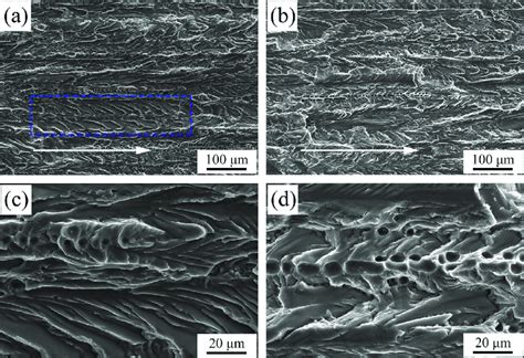 Sem Fractographs Of Fatigue Fracture Surfaces At The Stage Of Stable