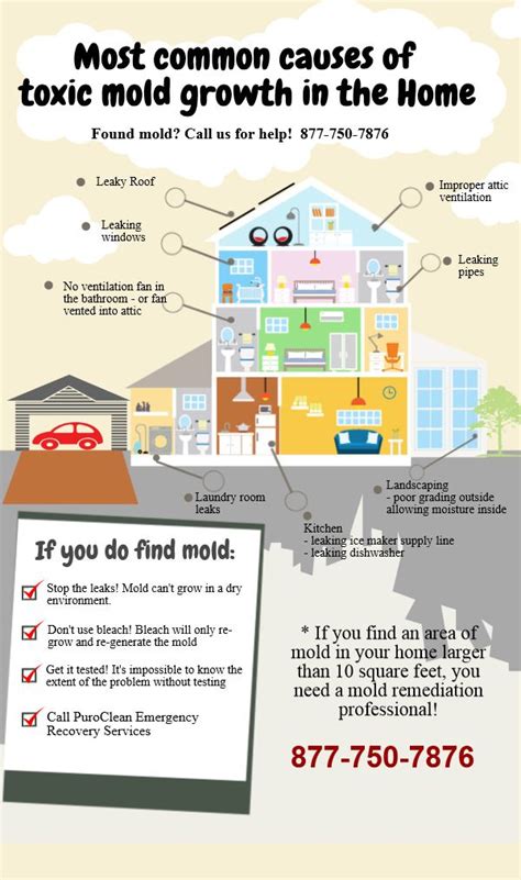 The 9 Most Common Causes Of Mold Growth In Your Home Homemade Cleaning Products House Cleaning