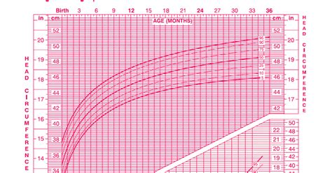 Ourmedicalnotes Growth Chart Head Circumference For Age And Weight For Lengths Girls Birth To 36m