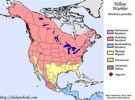 Yellow Warbler - Species Range Map