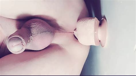 Porcinus Gay 02 Anus In Shape Anal Anal Porn XHamster