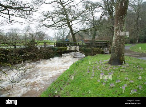 Simmons Park Okehampton Hi Res Stock Photography And Images Alamy