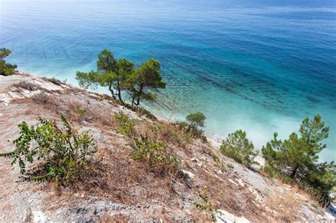 Hermoso Paisaje De Verano Vista De Las Rocas Del Bosque Y La Costa Del