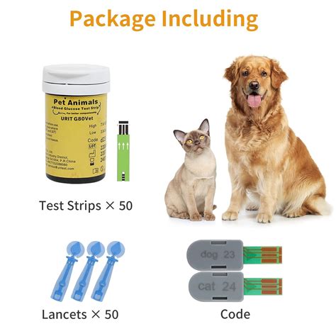 Can I Use My Glucose Meter On My Dog at Scott Mcrae blog