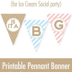 Ice Cream Social Gender Reveal Party Decorations Printable DIY Gender