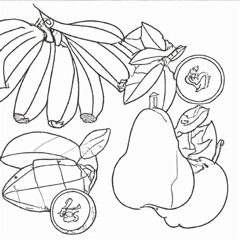 Desenhos De Frutas E Verduras - 100+ Desenhos de Frutas e Verduras para Imprimir e Colorir