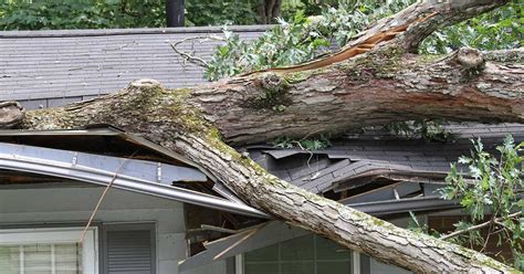 What To Do If A Tree Falls On Your Roof Chattanooga Roofing Co