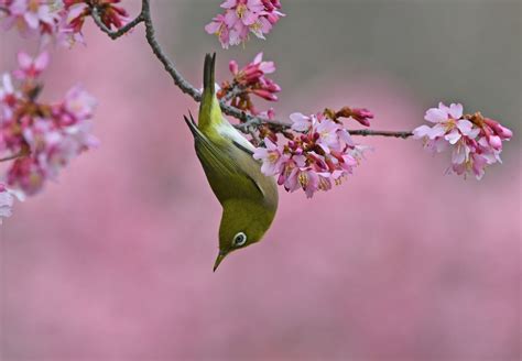 今日も鶴見緑地公園で ぶらりぷらり