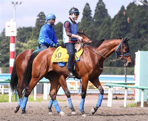 スルーセブンシーズは池添との再コンビで有馬記念へうま屋デイリースポーツ Online