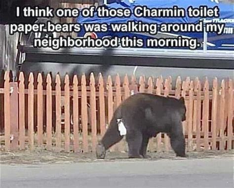 Memes W Linky Gay NYC Dad