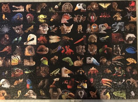 99 Beautiful Animals, 1000pc, Ravensburger. On the harder side, but ...