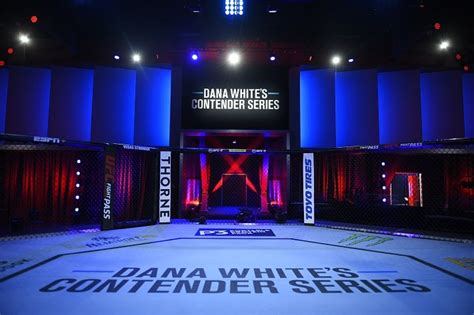 Dana Whites Contender Series Season 4 Week 6 Results