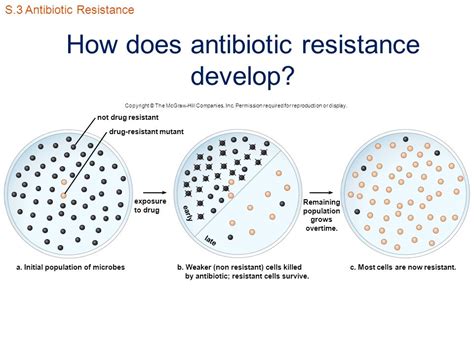 Human Biology Sylvia S Mader Michael Windelspecht Ppt Video Online