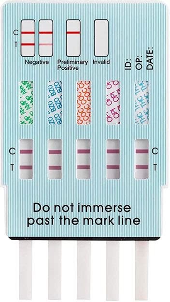 How Far Back Does A 5 Panel Drug Test Inmateseducation