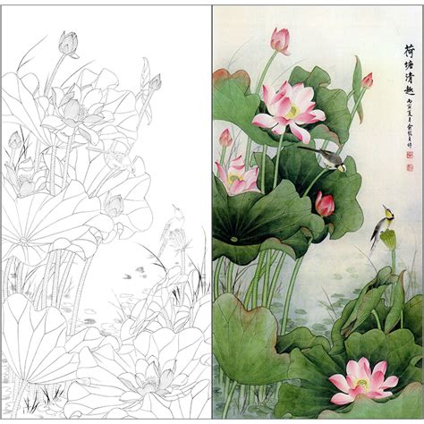 Tp382工笔画荷花白描底稿国画花鸟临摹练习线描画稿实物打印稿虎窝淘