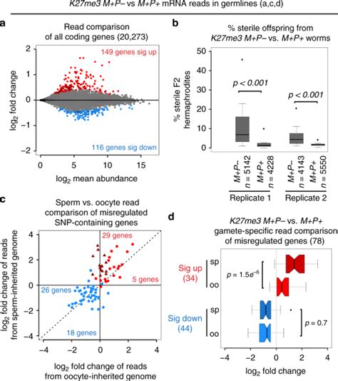 Sperm Inherited H3k27me3 Impacts Offspring Transcription And