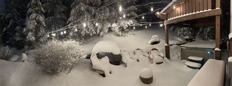 Winter — Bear Cubs Den At The Sanctuary In Snowshoe