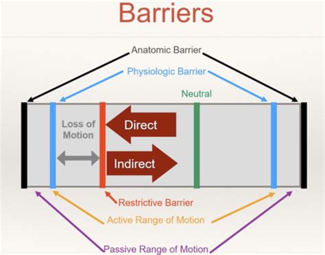 Barrier concepts Flashcards | Quizlet