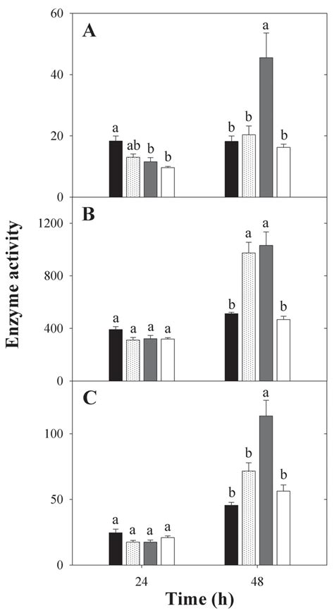 Enzyme activity of A SOD U min 1 mg 1 protein B CAT μmol min