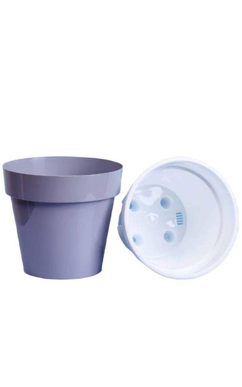 Золотая сотка алтая