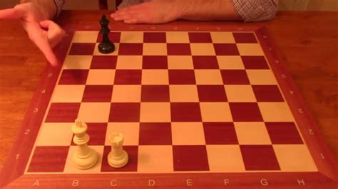 Chess Endgame Fundamentals Opposition Exercise