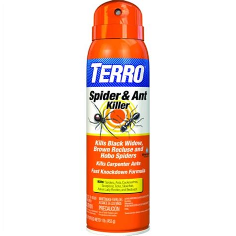 Terro Spider & Ant Killer Spray, 1 lb - Pick ‘n Save