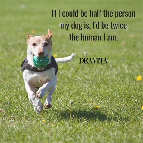 Dog People Quotes