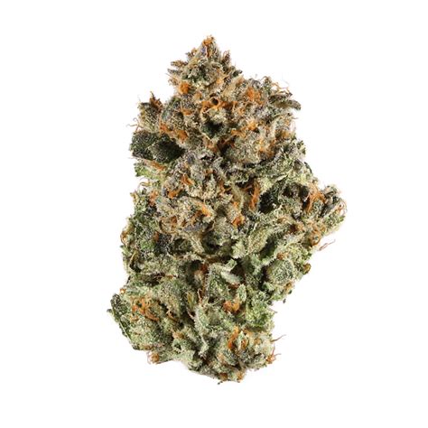 Blackberry Kush Weed Store Online Canna Cross Dispensary